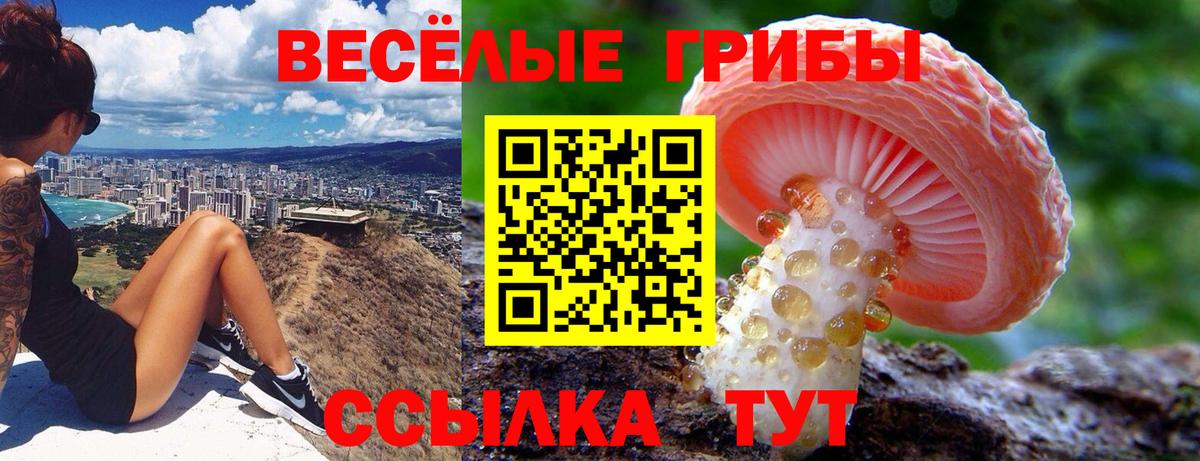 Псилоцибиновые грибы Cubensis Сызрань
